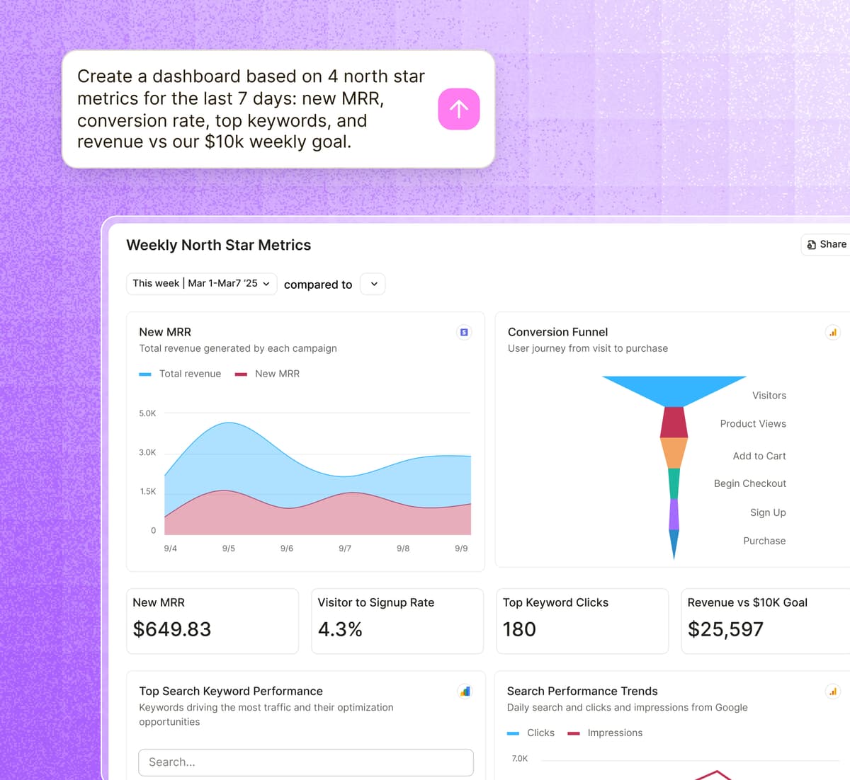 SaaS startup analytics dashboard